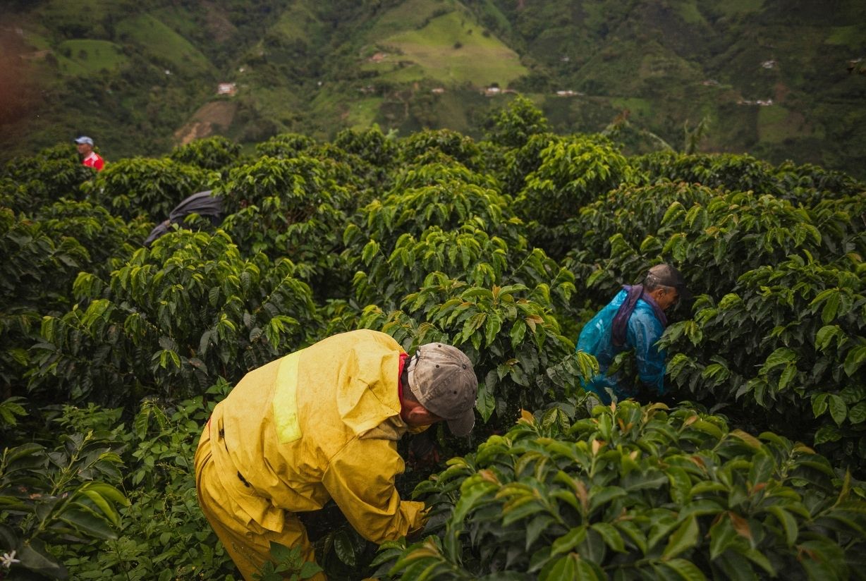 Colombiana Coffee